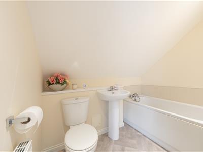 Picture 18